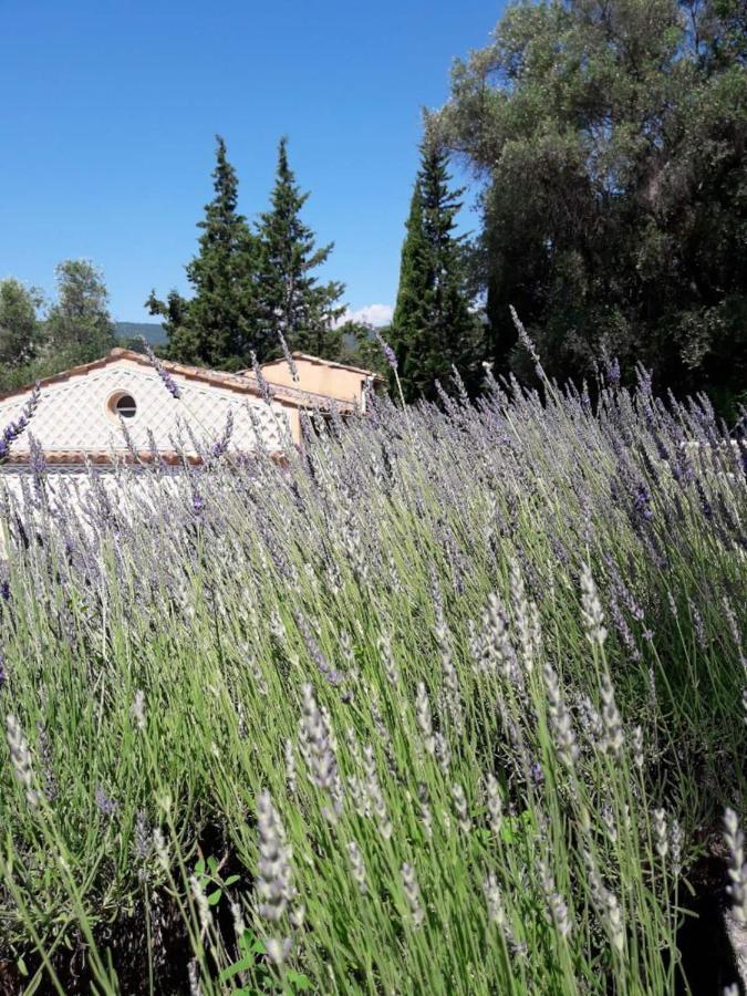 Apartment Cezanne With Heated Pool And Private Garden Châteauneuf-Grasse Kültér fotó