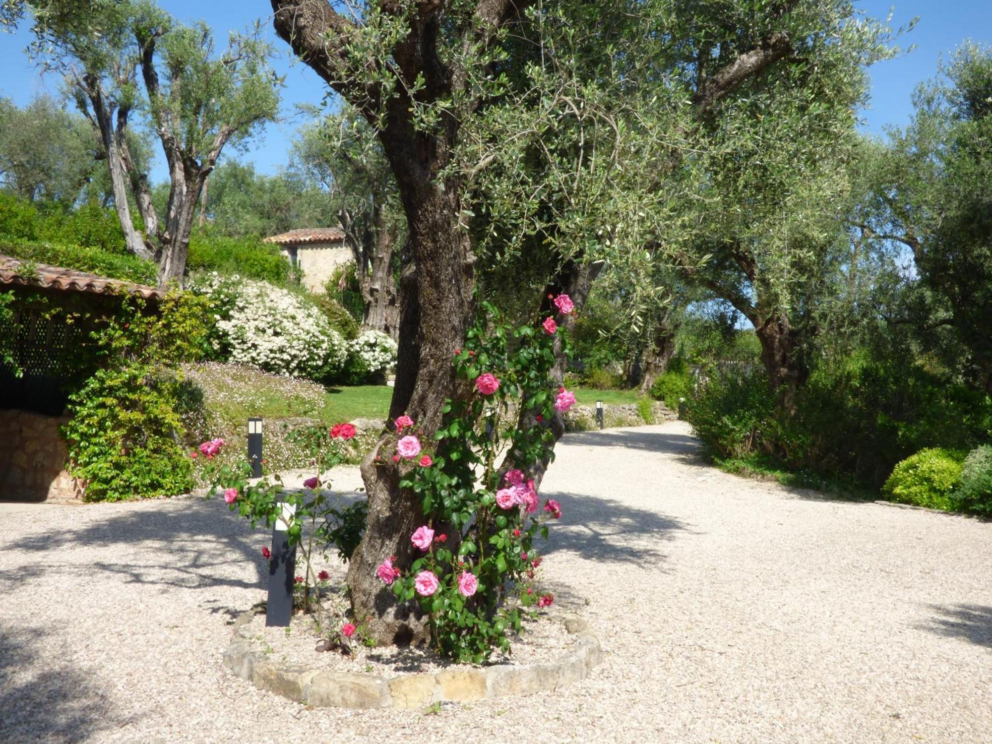 Apartment Cezanne With Heated Pool And Private Garden Châteauneuf-Grasse Kültér fotó